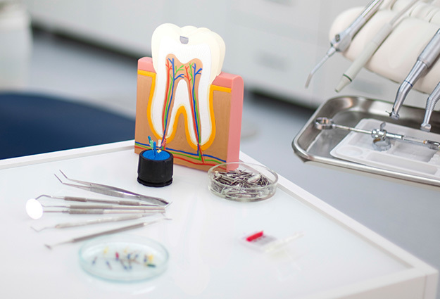 DENTIST|기능+심미보철